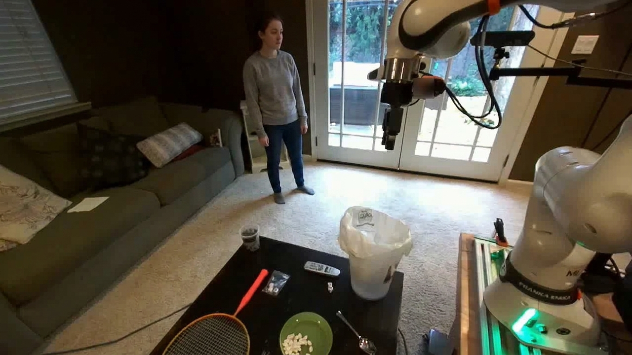 Initial image for the Adversarial scenario